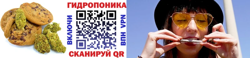 Canna-Cookies конопля  закладка  Купино 