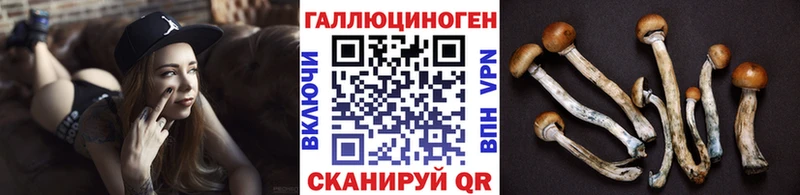 Галлюциногенные грибы Psilocybine cubensis Купино